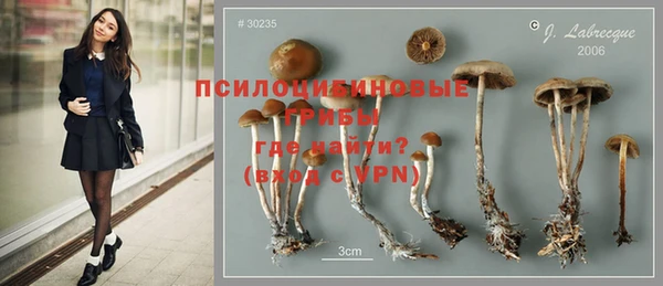 мяу мяу мука Балахна