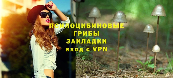 молекула духа Белокуриха