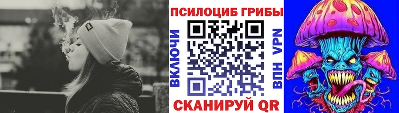 Псилоцибиновые грибы Psilocybine cubensis  наркошоп  hydra зеркало  Карталы 